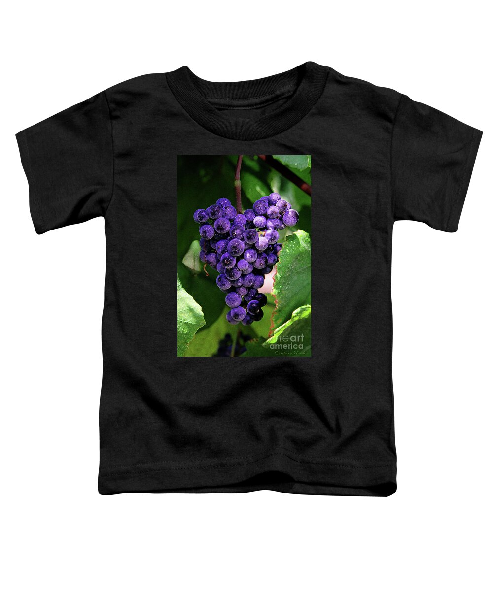 Grapes Art Toddler T-Shirt featuring the painting New Wine by Constance Woods