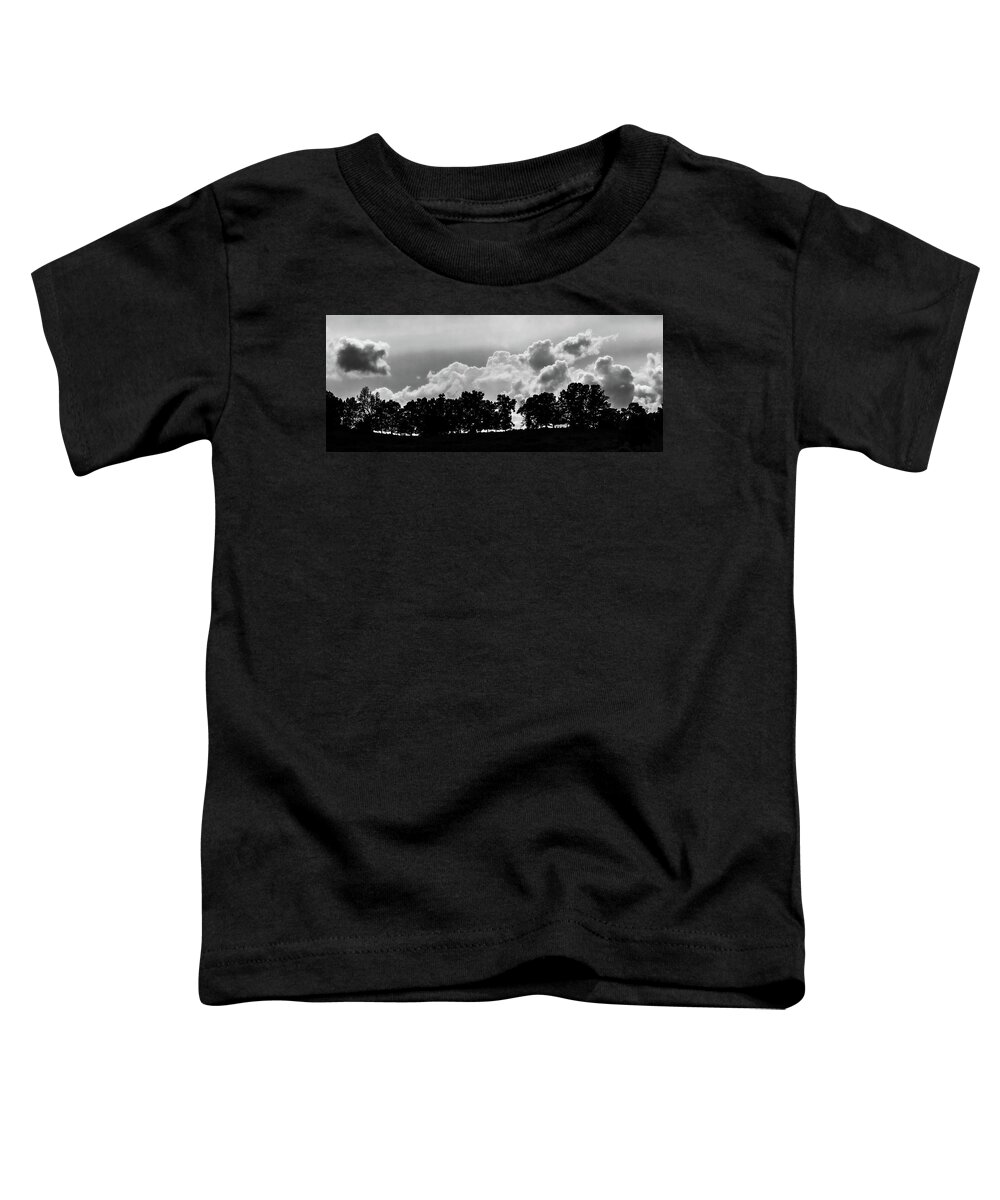 Elliott County Kentucky Toddler T-Shirt featuring the photograph Newfoundland Ridge by Randall Evans