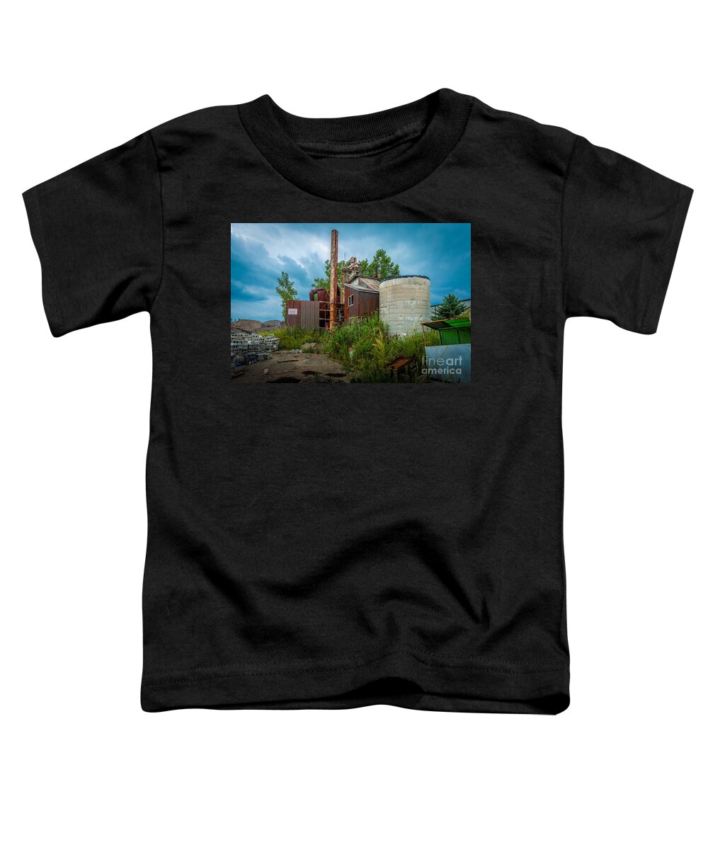 Abandoned Toddler T-Shirt featuring the photograph Now Cold by Roger Monahan