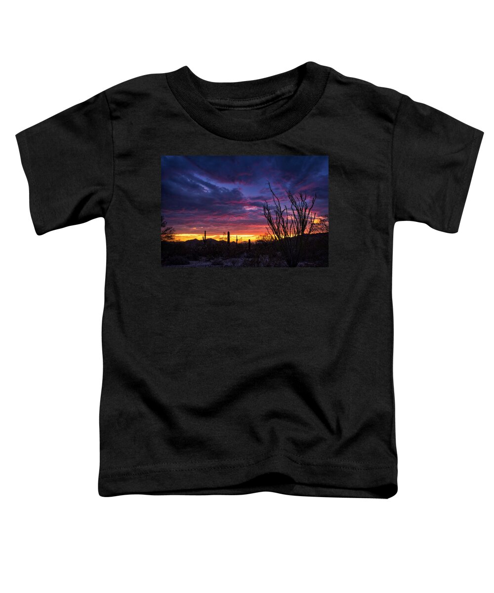 Monsoon Toddler T-Shirt featuring the photograph Ocotillo Sunset by Saija Lehtonen