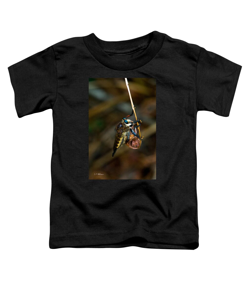 Bug Toddler T-Shirt featuring the photograph Old Blue Eyes by Christopher Holmes