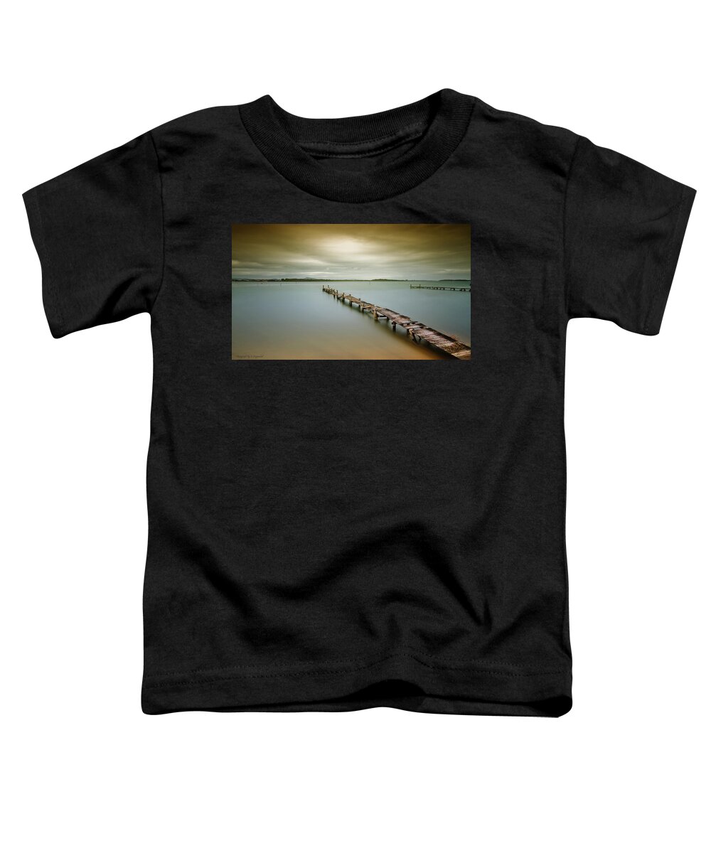 Manning Point Australia Toddler T-Shirt featuring the photograph Old jetty 0010 by Kevin Chippindall