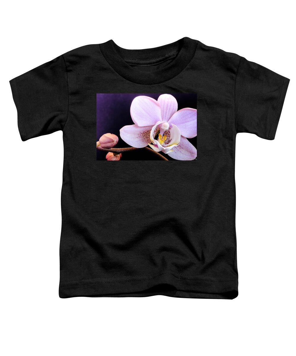 Flowers Toddler T-Shirt featuring the photograph Open Orchid by Wendy Carrington