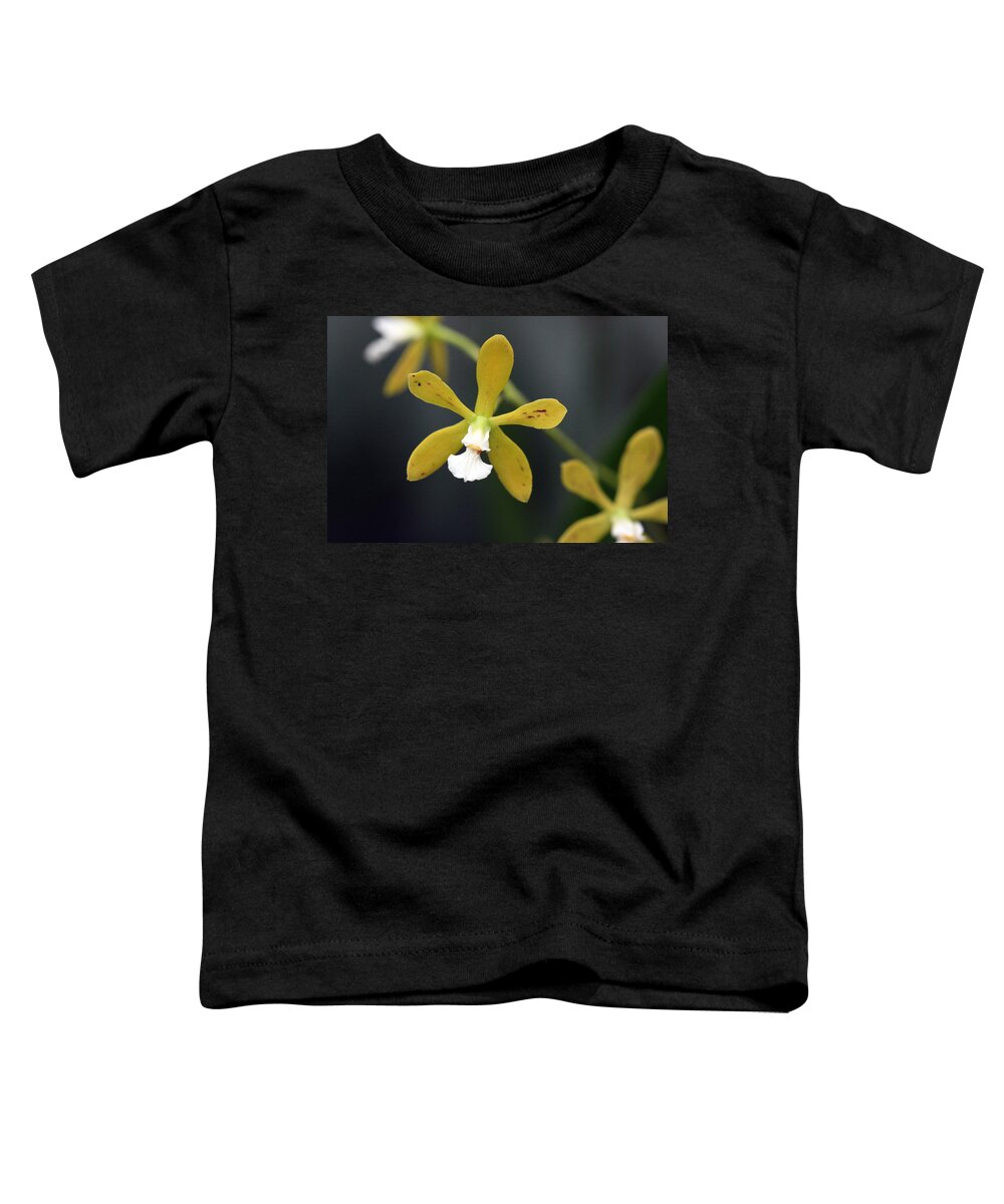 Orchid Toddler T-Shirt featuring the photograph Orchid 16 by Pierre Leclerc Photography