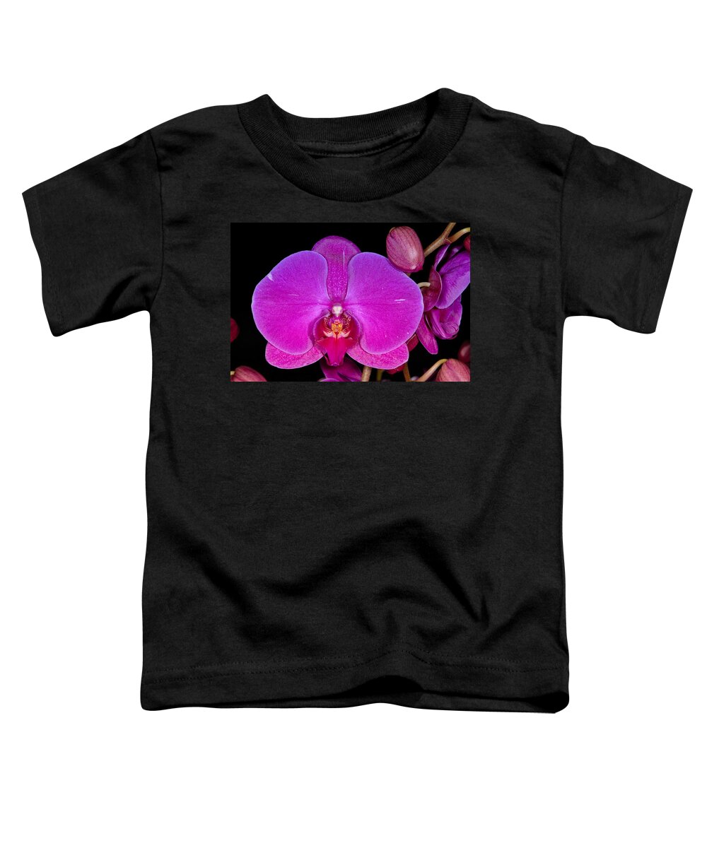 Flower Toddler T-Shirt featuring the photograph Orchid 424 by Wesley Elsberry
