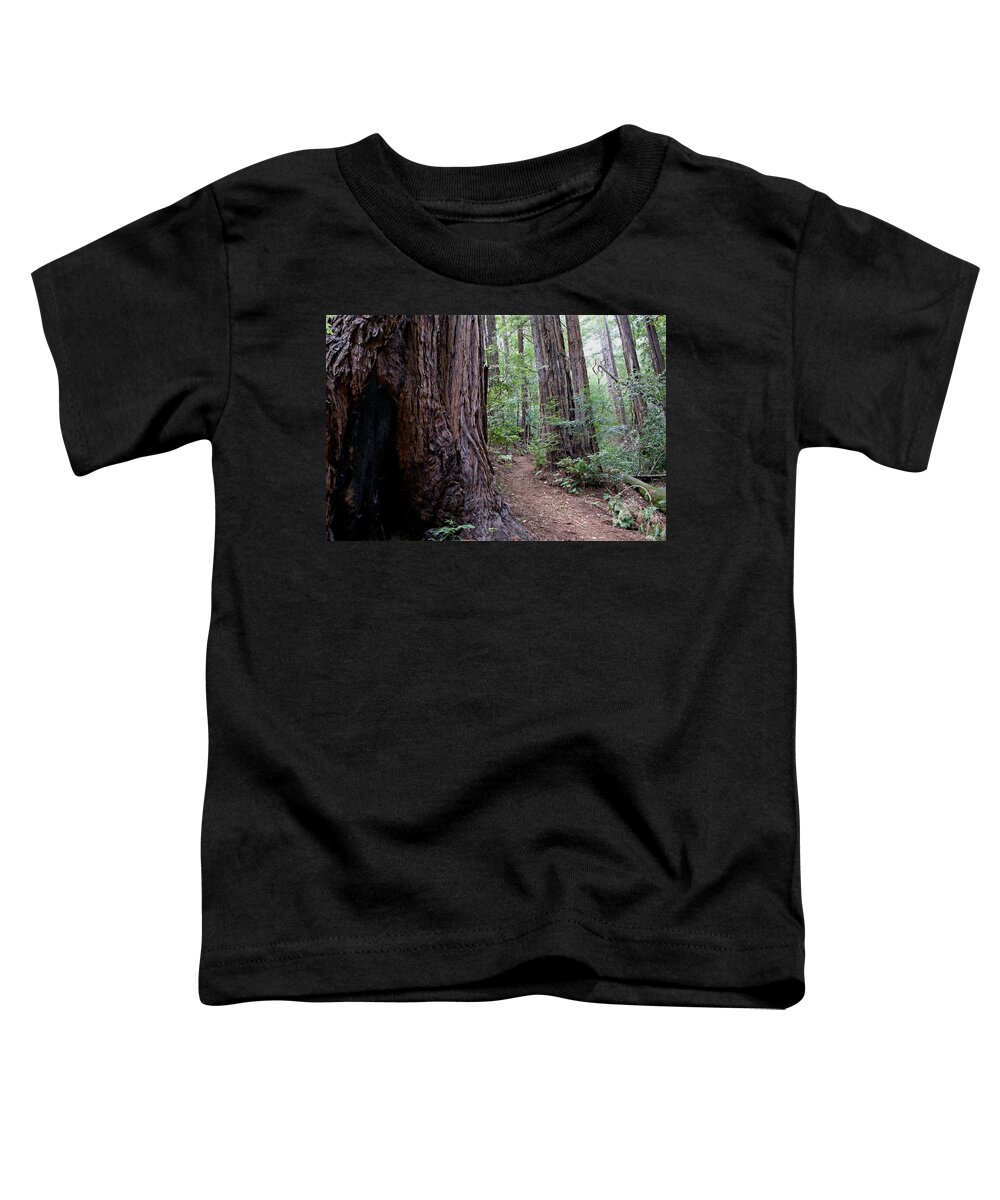 Mount Tamalpais Toddler T-Shirt featuring the photograph Pathway through a Redwood Forest on Mt Tamalpais by Ben Upham III