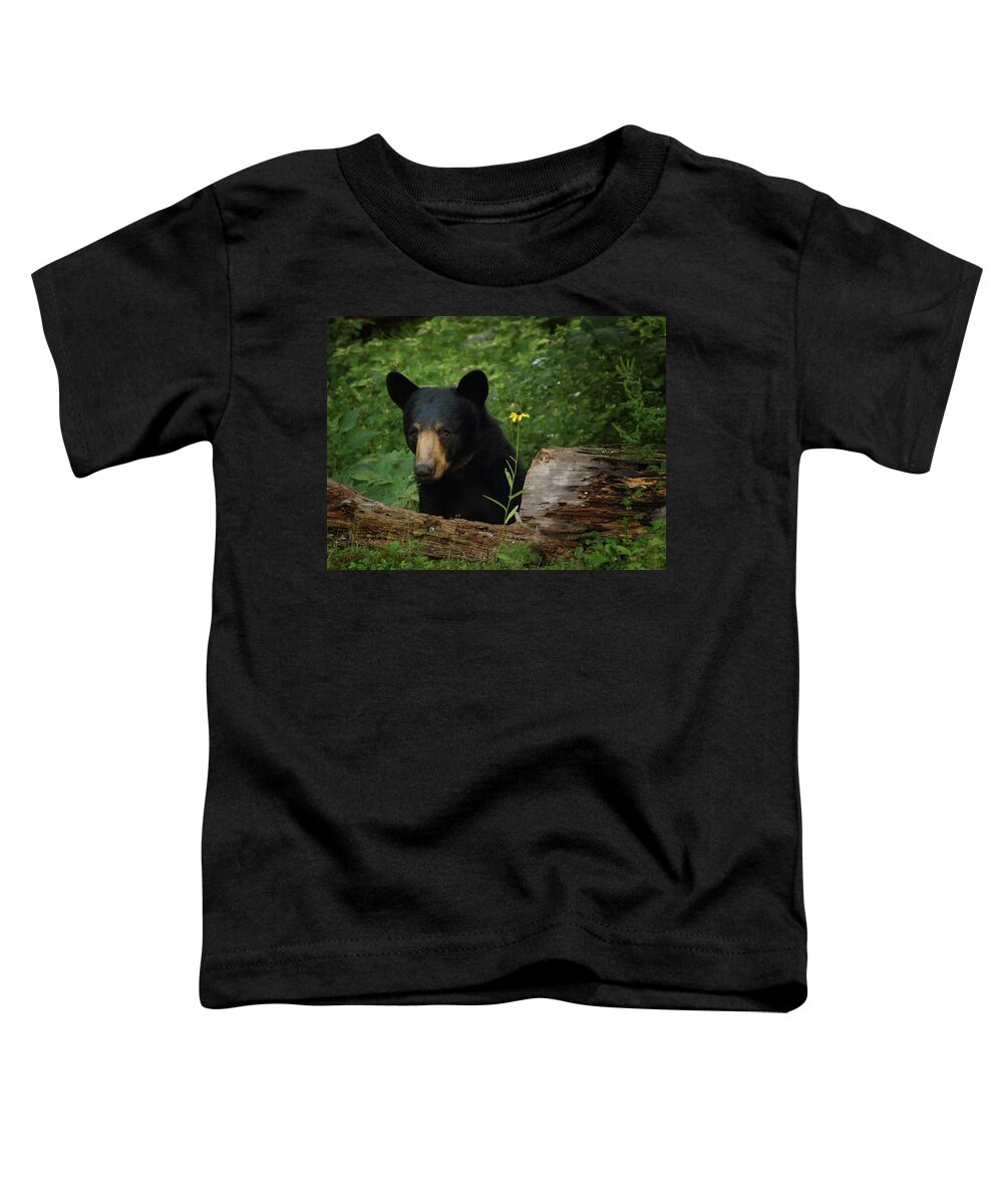 Bear Toddler T-Shirt featuring the photograph Peeking Around the Log by Duane Cross