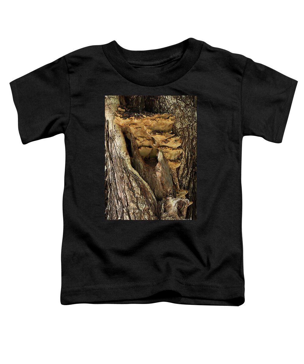 Tree Toddler T-Shirt featuring the photograph Peeping through woods by Kiran Joshi