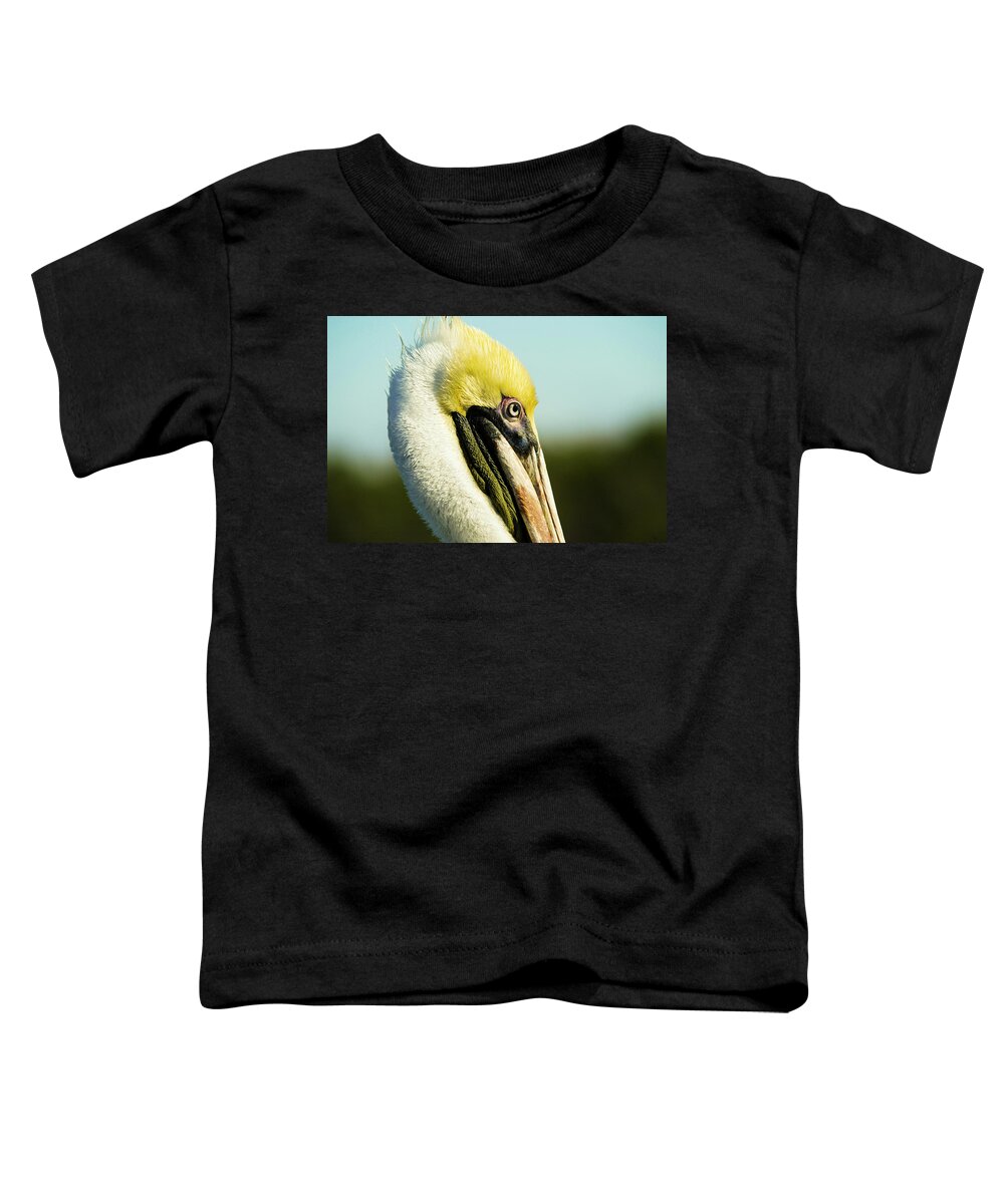 Pelican Toddler T-Shirt featuring the photograph Pelican by Jason Hughes