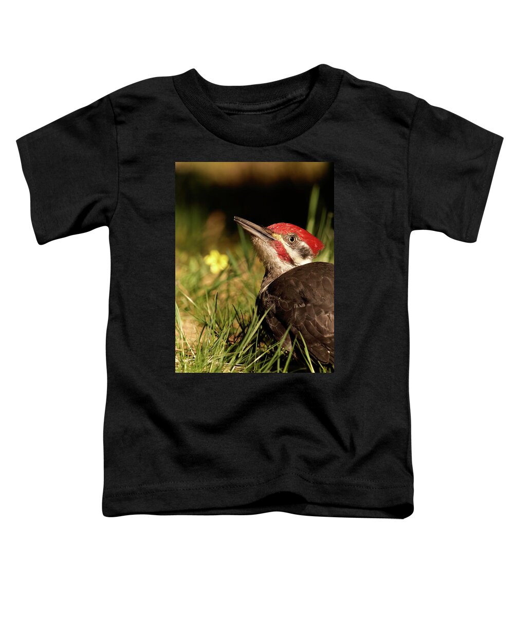 Bird Toddler T-Shirt featuring the photograph Pileated Woodpecker by Loni Collins