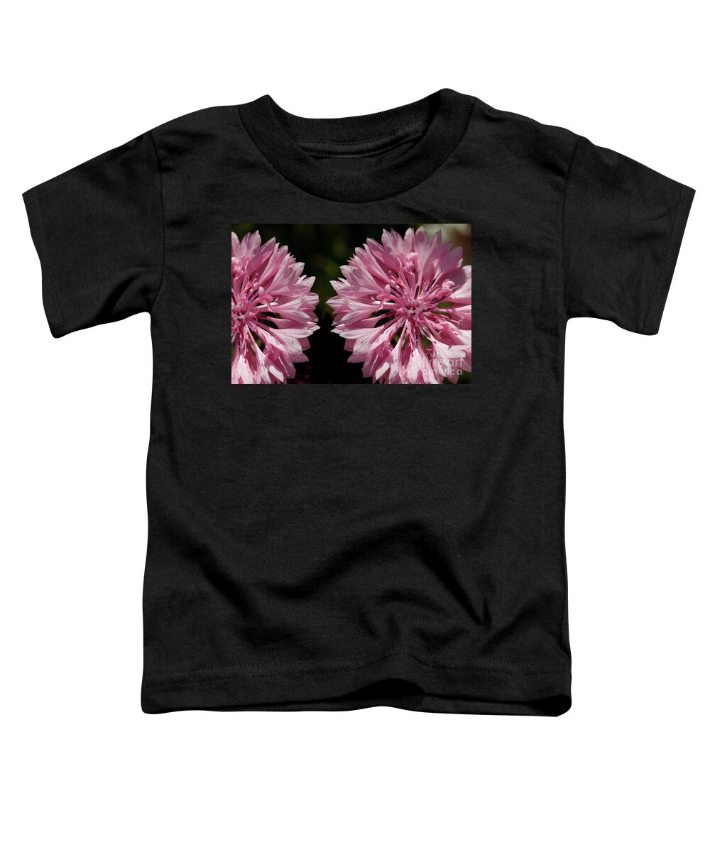 Cornflower Toddler T-Shirt featuring the photograph Pink cornflowers by Baggieoldboy