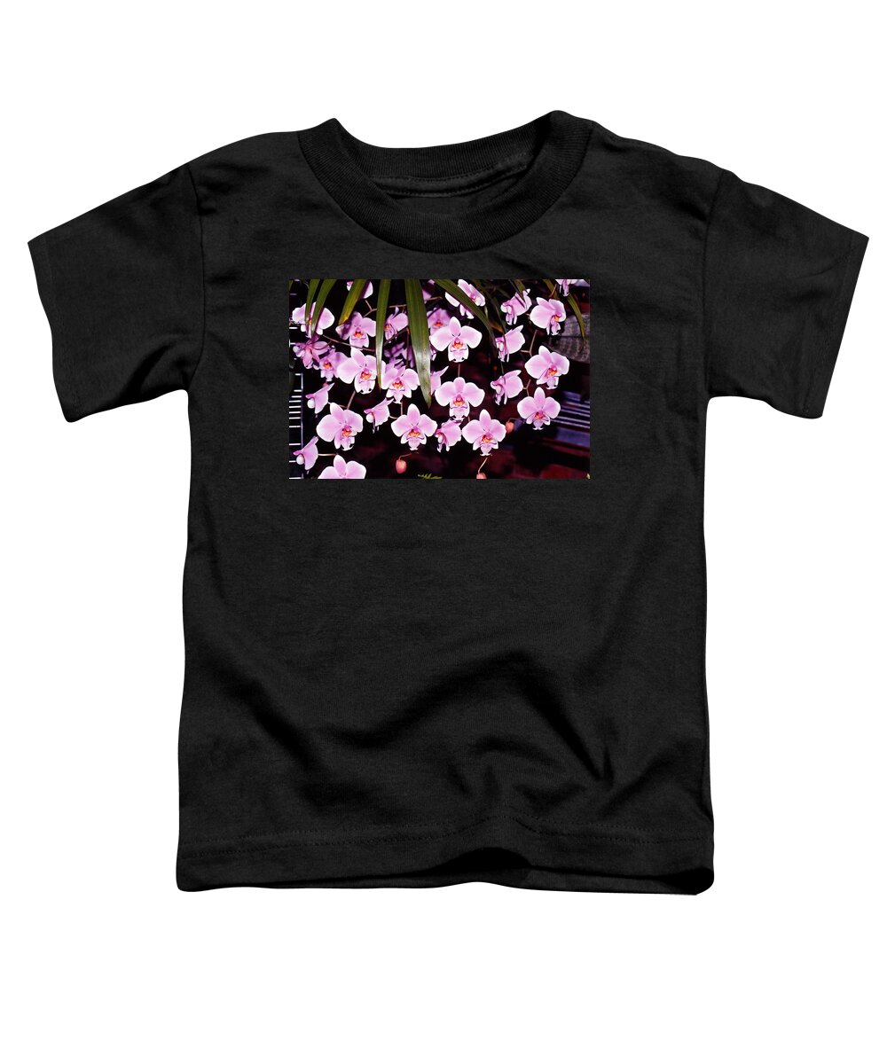 Flowers Toddler T-Shirt featuring the photograph Pink little orchids by Susanne Van Hulst