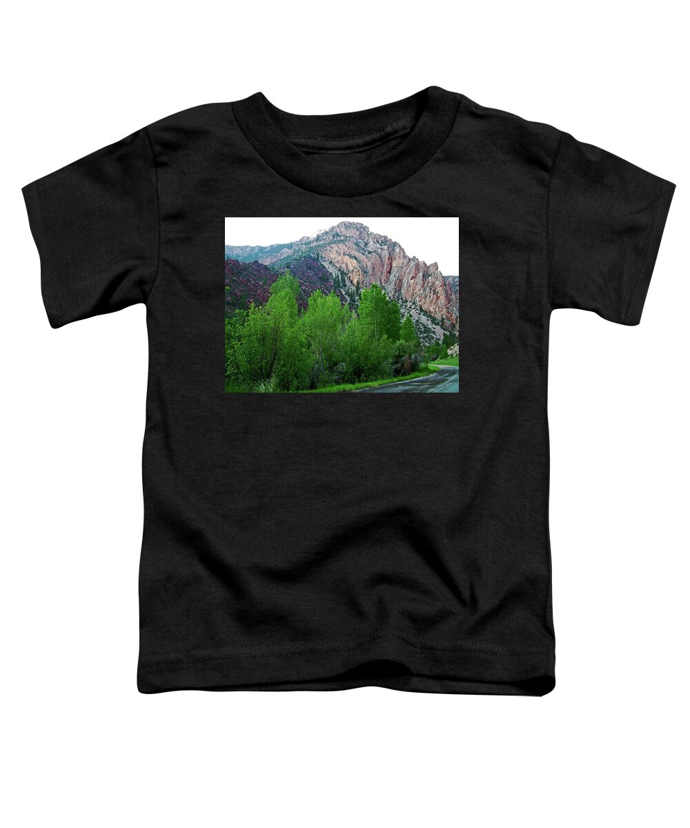 Pink Rock On Sheep Creek Geological Loopl In Flaming Gorge National Recreation Area Toddler T-Shirt featuring the photograph Pink Rock on Sheep Creek Geological Loop in Flaming Gorge National Recreation Area, Utah by Ruth Hager
