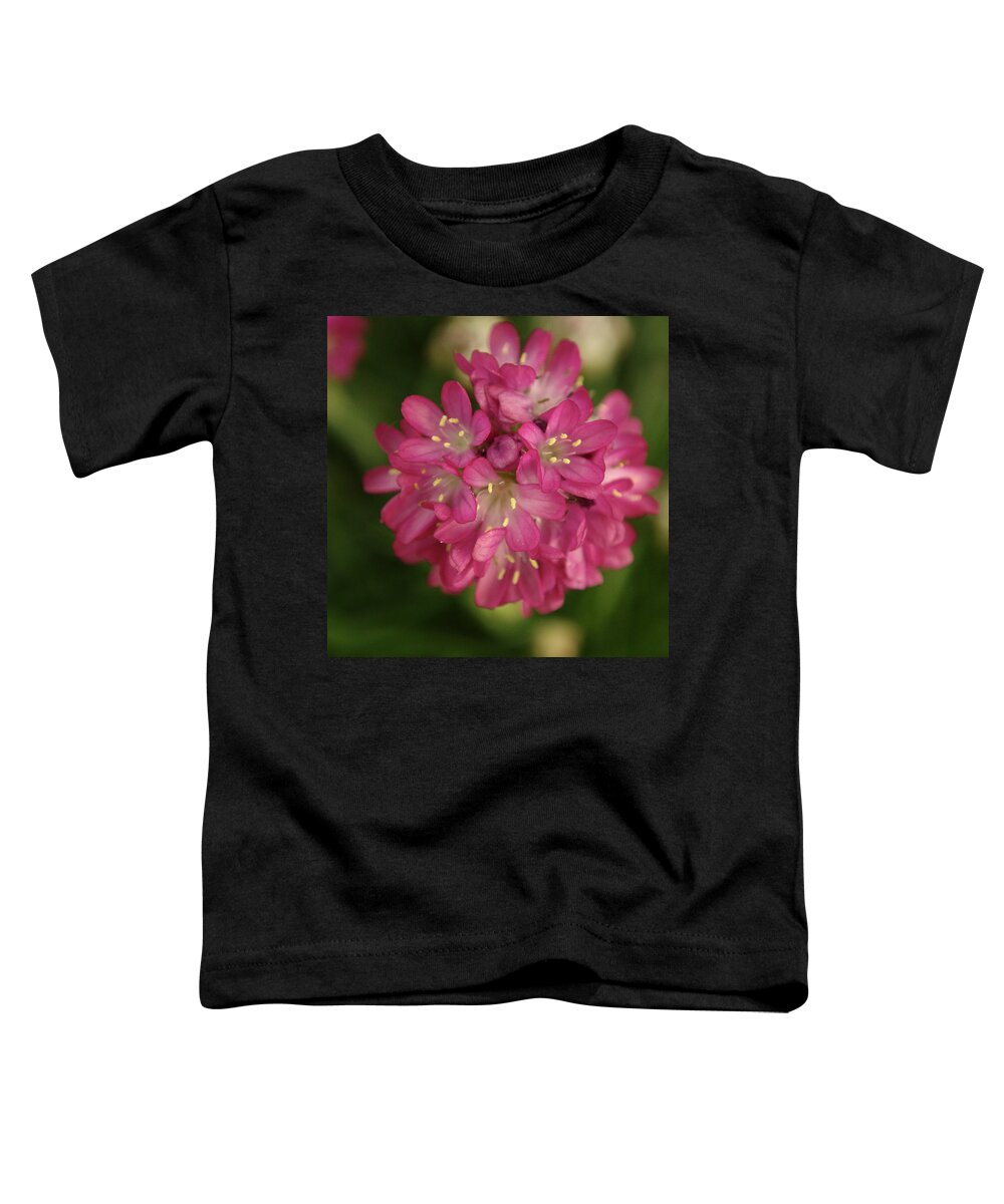 Flowers Toddler T-Shirt featuring the photograph Pink Armeria Cluster by Adrian Wale