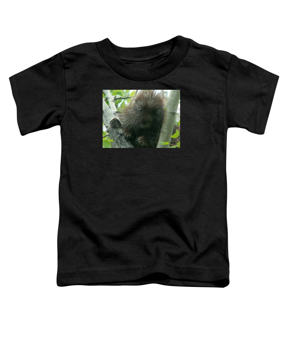 Porcupine Toddler T-Shirt featuring the photograph Porcupine Tree by John Meader