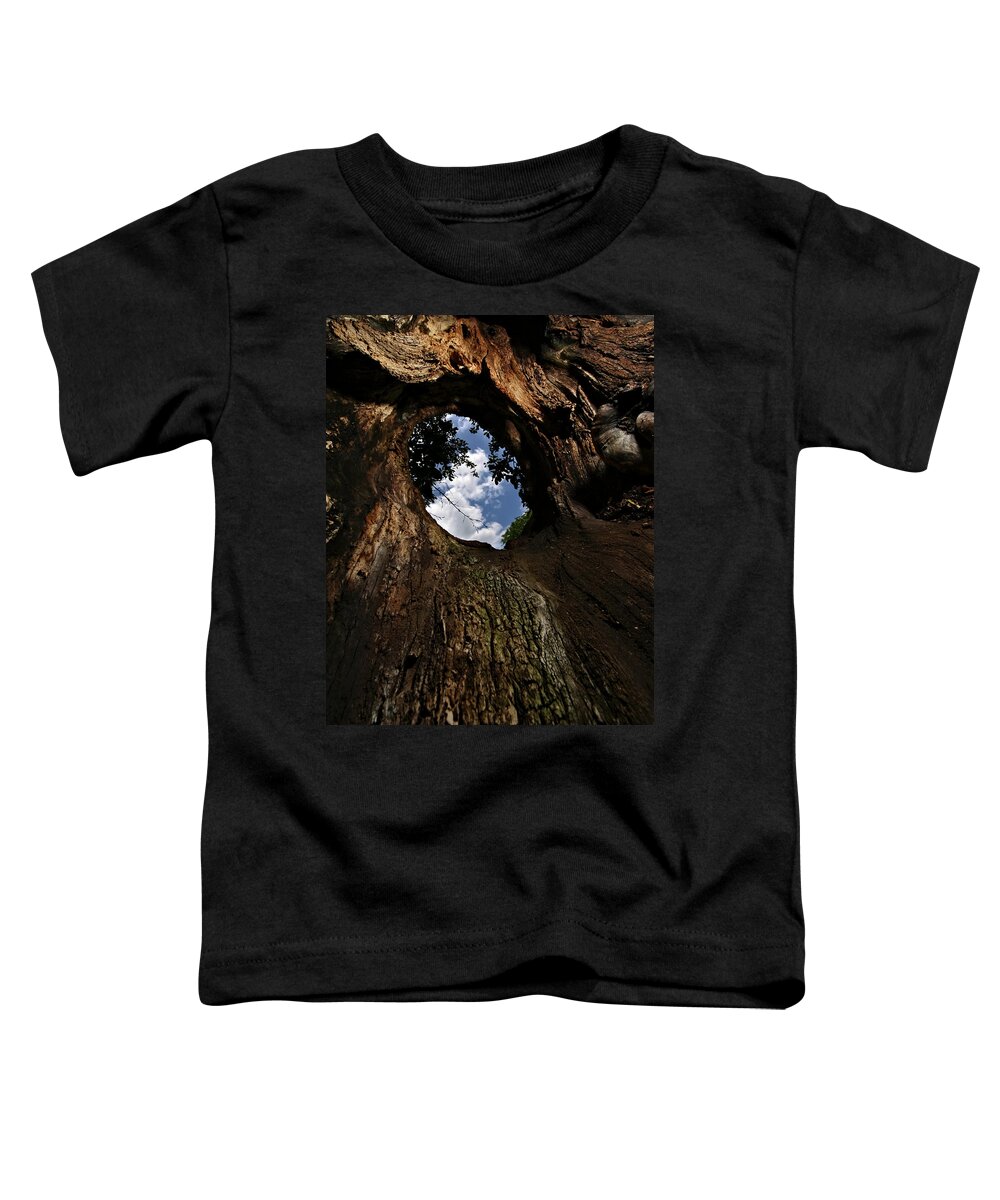 Tree Toddler T-Shirt featuring the photograph Portal by Neil Shapiro