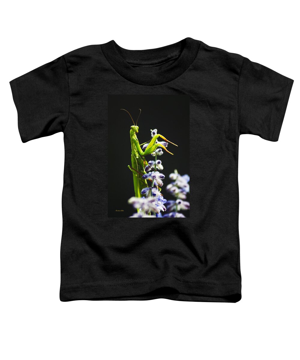 Praying Mantis Toddler T-Shirt featuring the photograph Praying Mantis on Flower by Christina Rollo