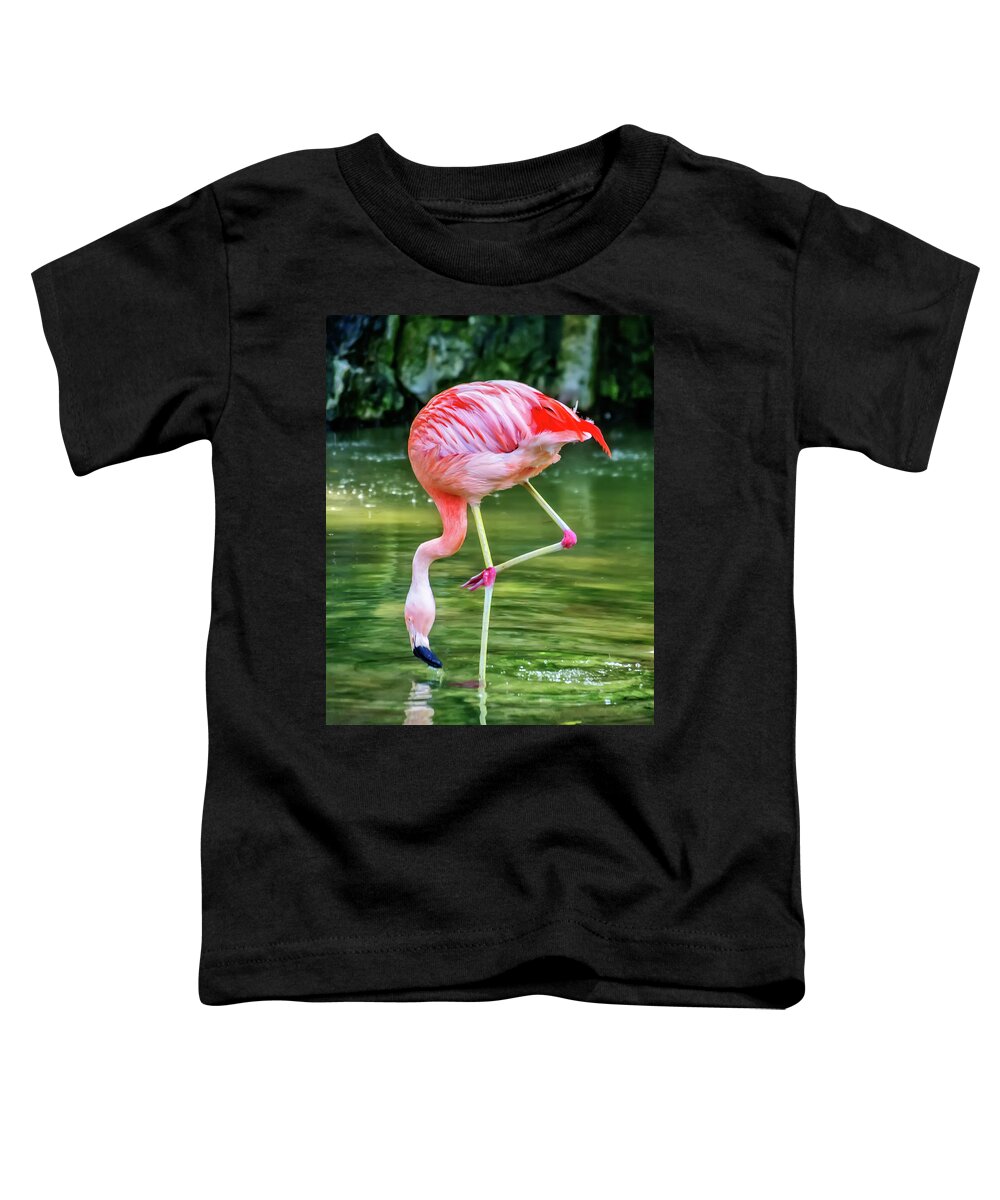 Flamingo Toddler T-Shirt featuring the photograph Pretty Pink Flamingo by Anthony Murphy