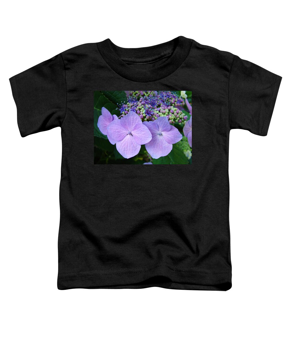 Hydrangea Toddler T-Shirt featuring the photograph Purple Hydranga Flowers art prints Baslee Troutman by Patti Baslee