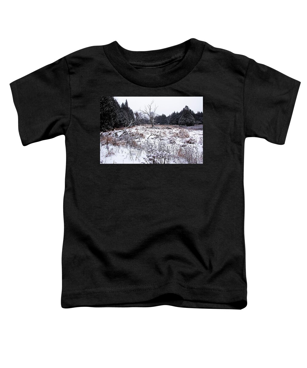 Winter Toddler T-Shirt featuring the photograph Quiet Winter by Debbie Oppermann