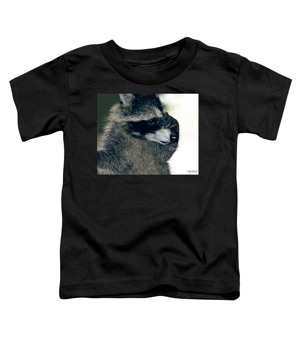 Faunagraphs Toddler T-Shirt featuring the photograph Raccoon2 Peek-a-boo by Torie Tiffany