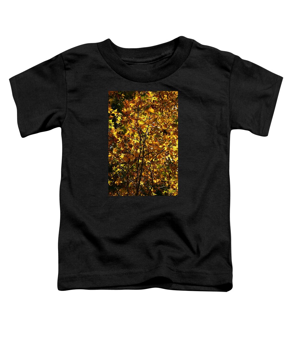 Leaf Toddler T-Shirt featuring the photograph Radiant Leaves by Karen Harrison Brown