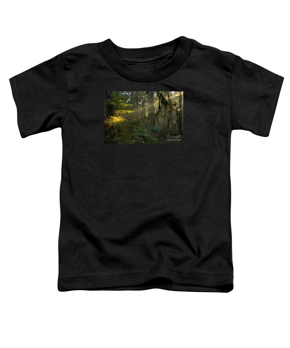 Pacific Rim National Park Toddler T-Shirt featuring the photograph Rainforest Spotlight by Adam Jewell