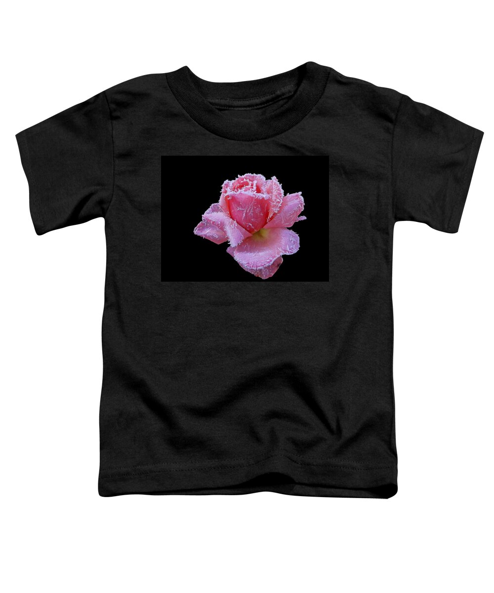 Roses Toddler T-Shirt featuring the photograph Rare Winter Rose by Harold Zimmer