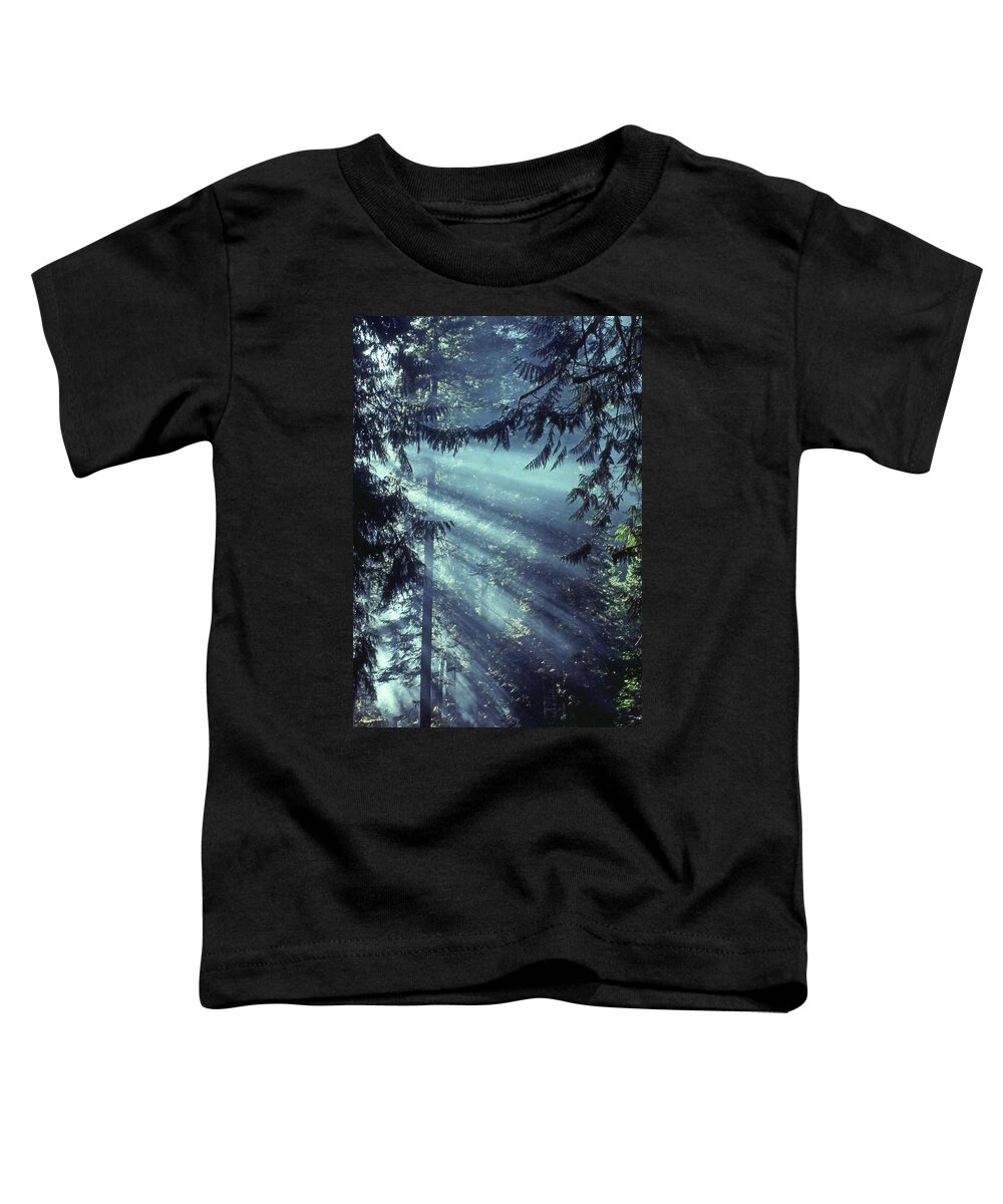  Toddler T-Shirt featuring the photograph Rays by Laurie Stewart