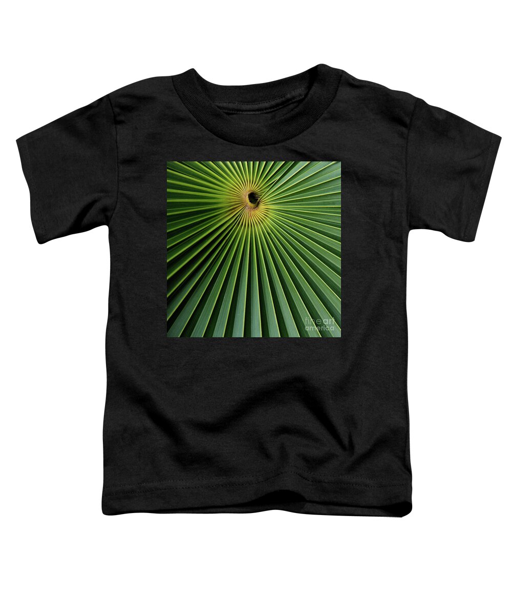 Kaylyn Franks Toddler T-Shirt featuring the photograph Razzled Rays Mexican Art by Kaylyn Franks by Kaylyn Franks