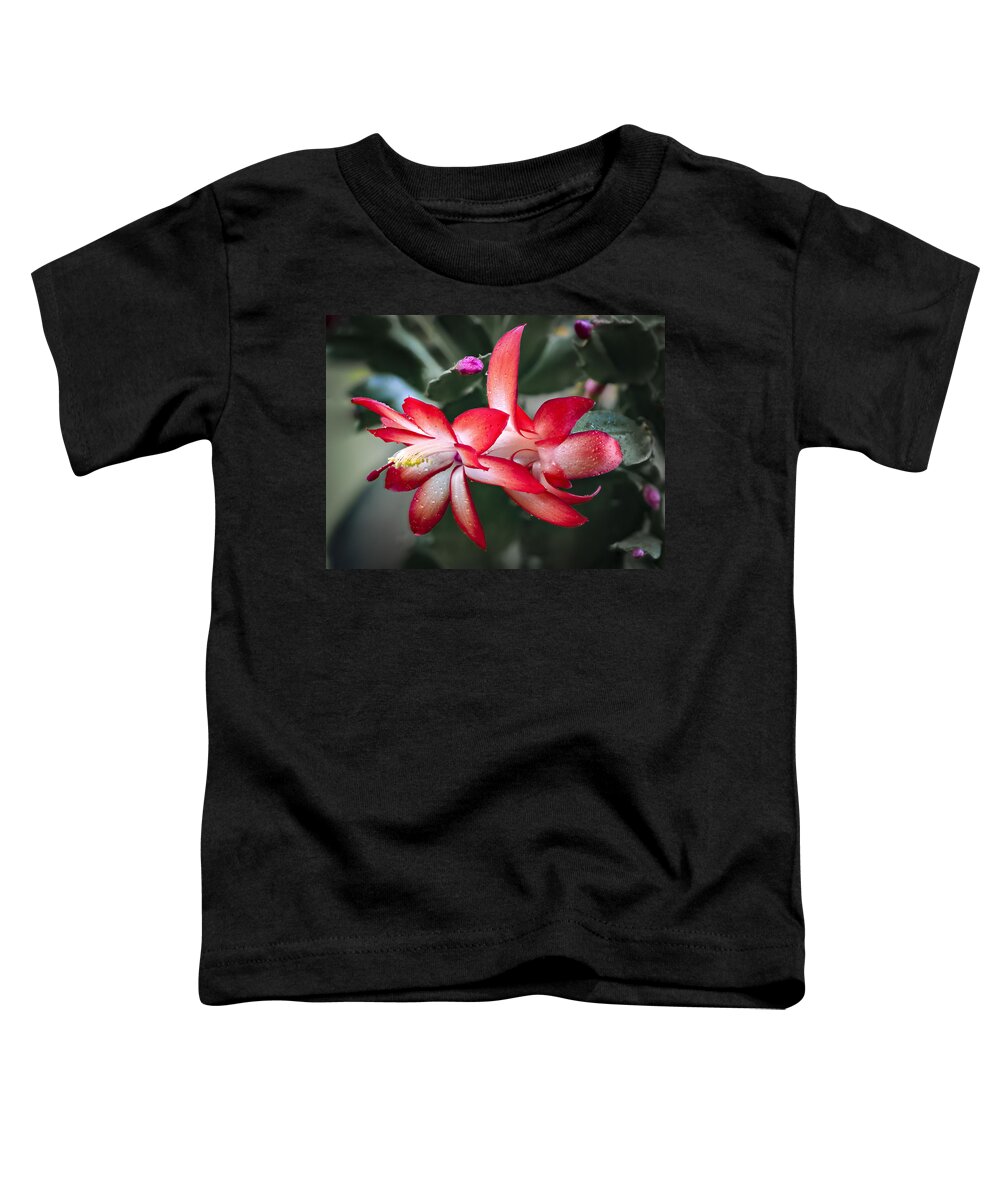 Jean Noren Toddler T-Shirt featuring the photograph Red Christmas Cactus by Jean Noren
