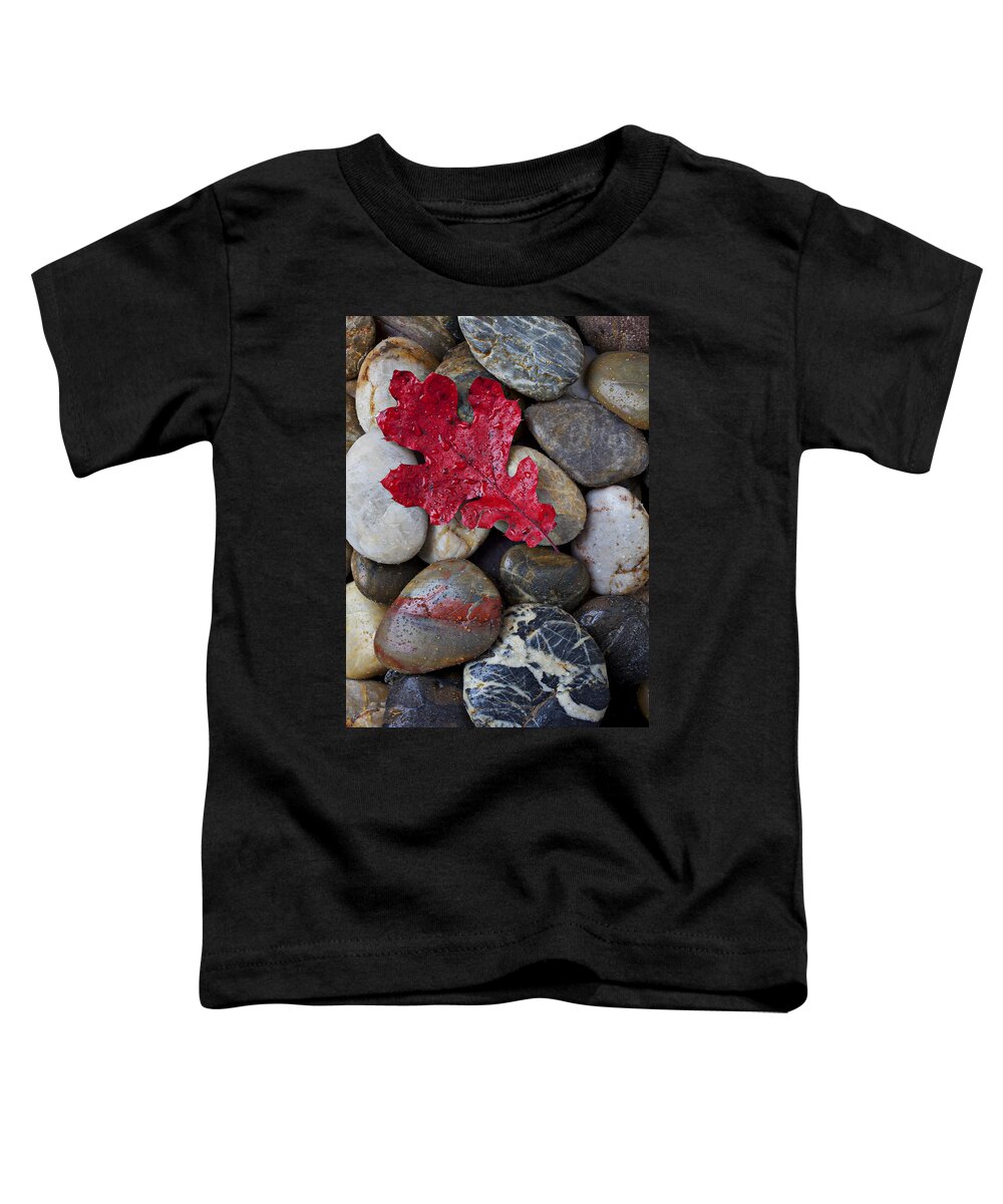 Red Leaf Toddler T-Shirt featuring the photograph Red Leaf Wet Stones by Garry Gay