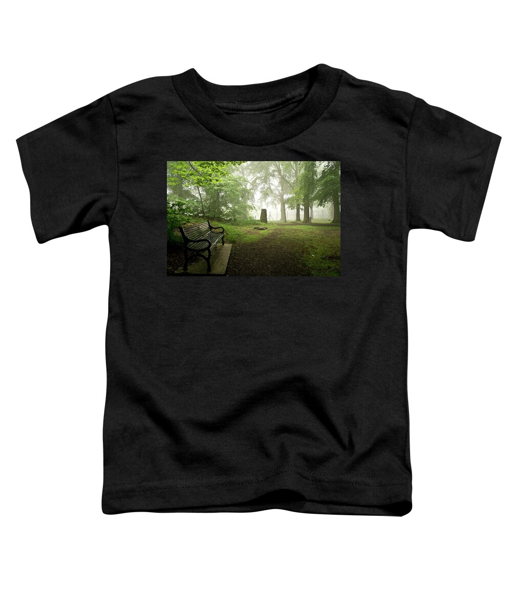 Bustle Toddler T-Shirt featuring the photograph Rest and Be thankful. by Elena Perelman
