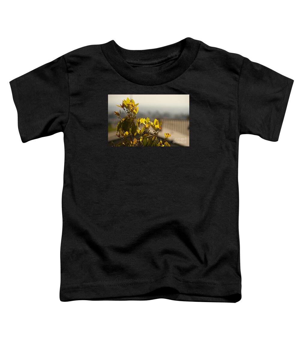 Tree Toddler T-Shirt featuring the photograph Rise Above The Spanish Tile by Linda Shafer