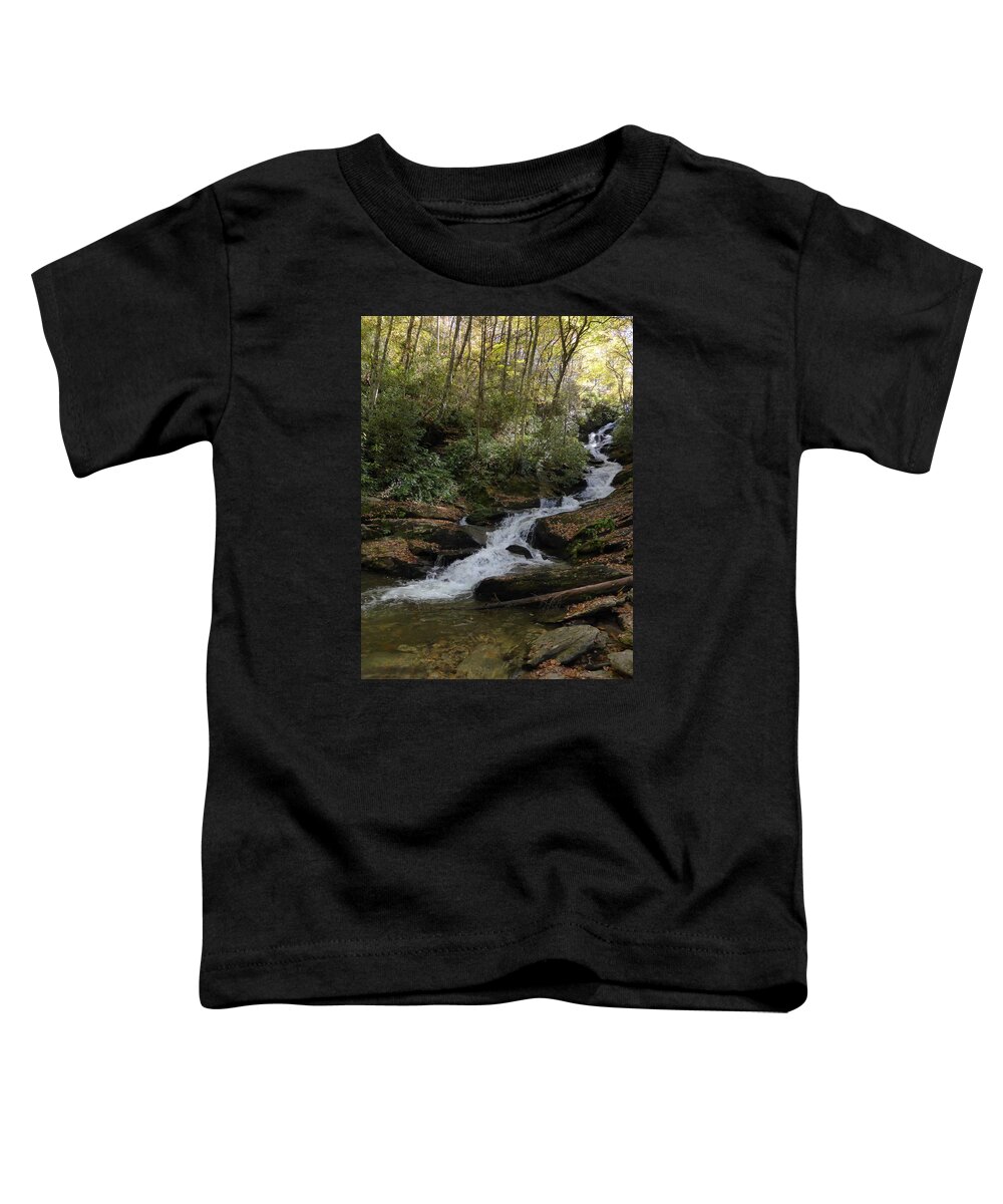 Roaring Fork Falls Toddler T-Shirt featuring the photograph Roaring Fork Falls - October 2015 by Joel Deutsch