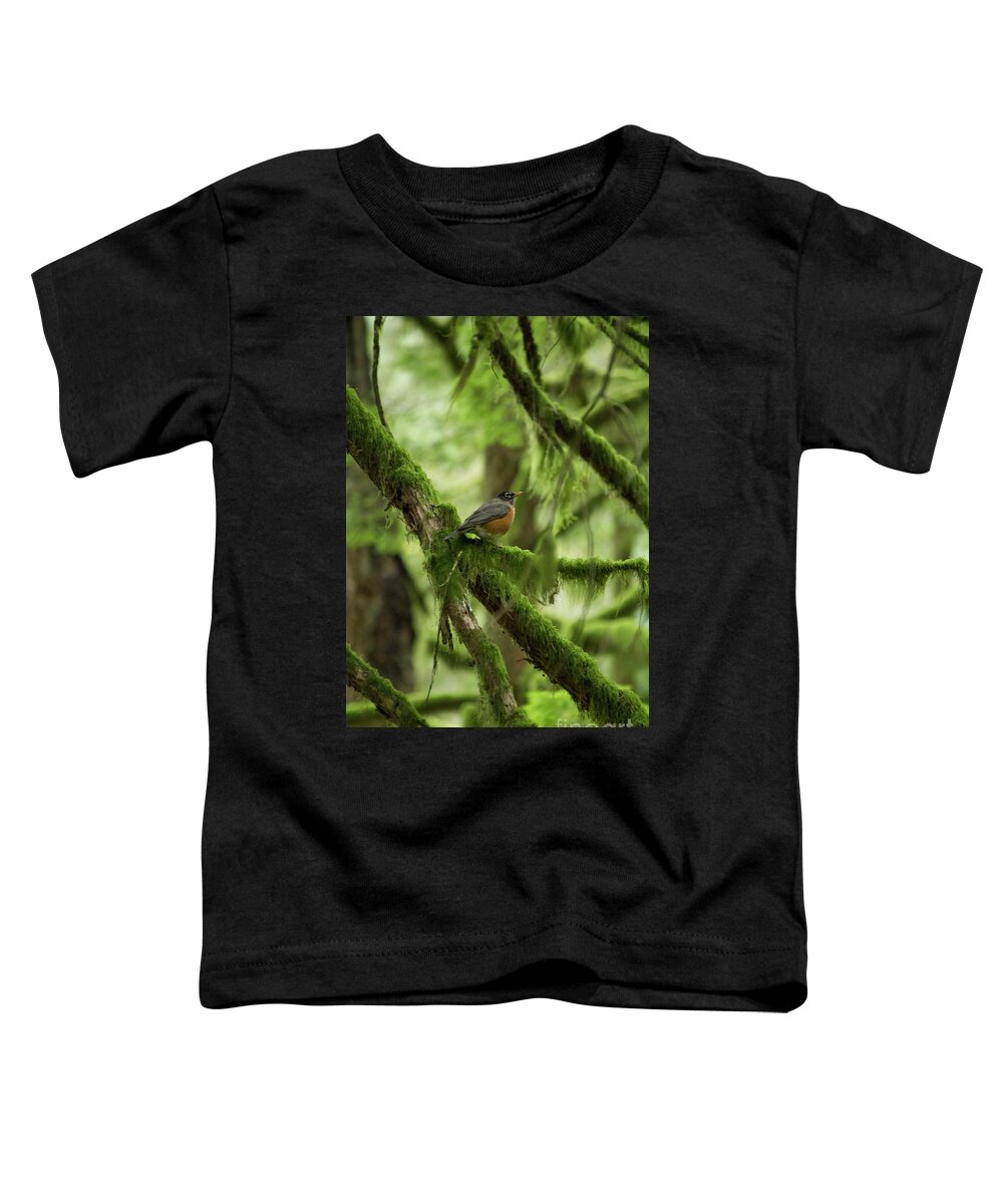 Robin Toddler T-Shirt featuring the photograph Robin on a Branch by Donna L Munro
