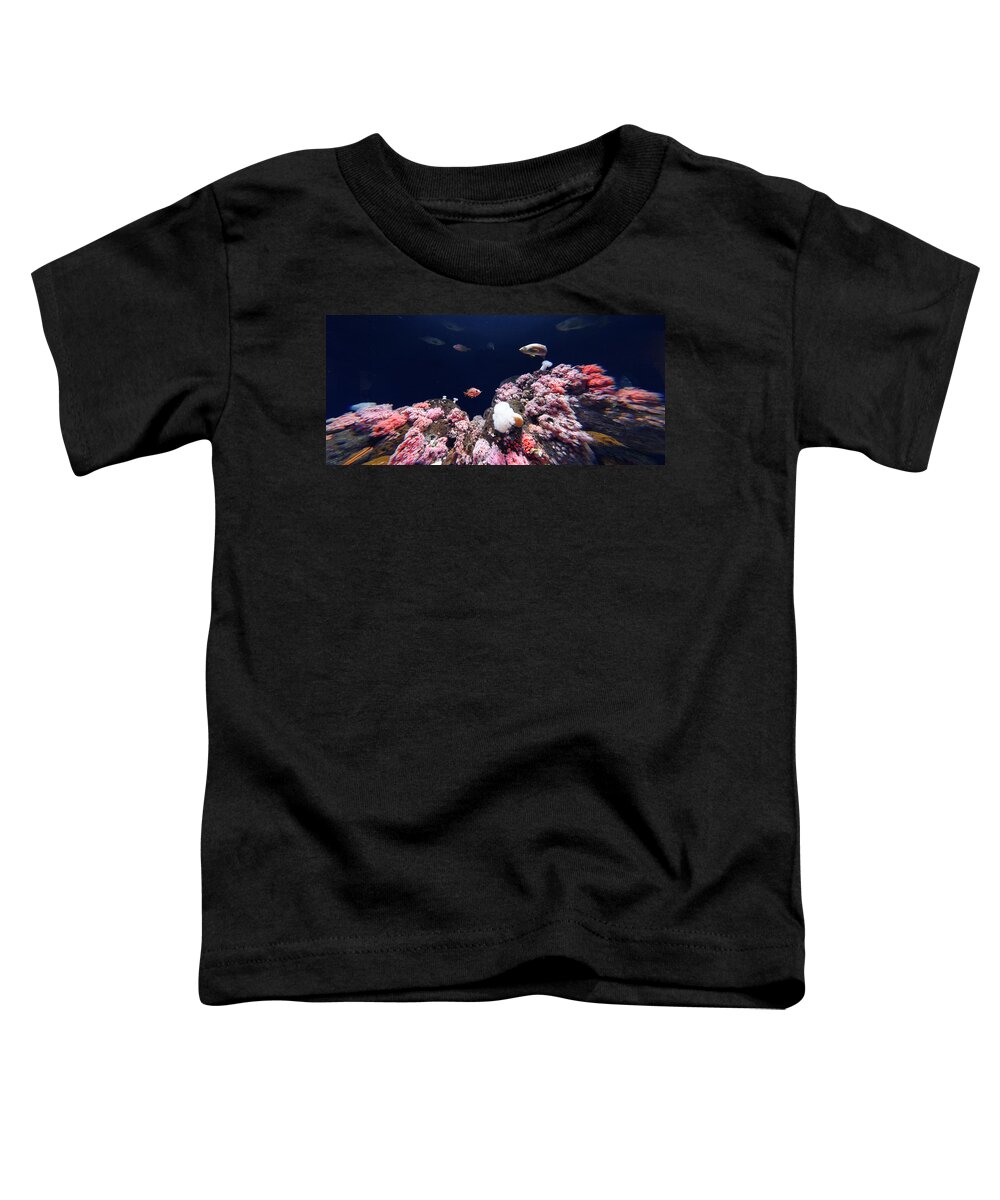 Rock On! Toddler T-Shirt featuring the photograph Rock On -- Rosy Rockfish at the Steinhart Aquarium in San Francisco, California by Darin Volpe
