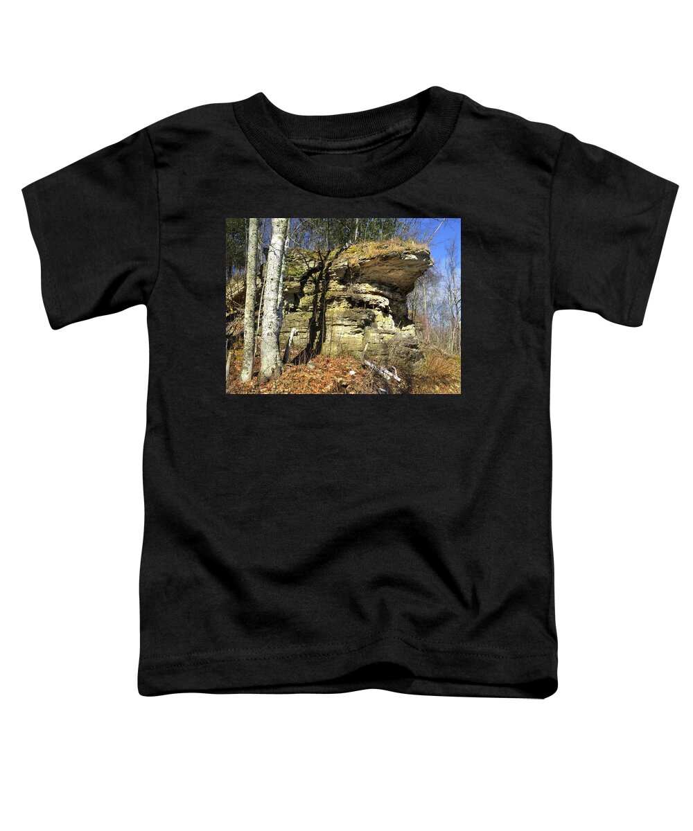 Rocky Outcrop Toddler T-Shirt featuring the photograph Rocky Outcrop by David T Wilkinson
