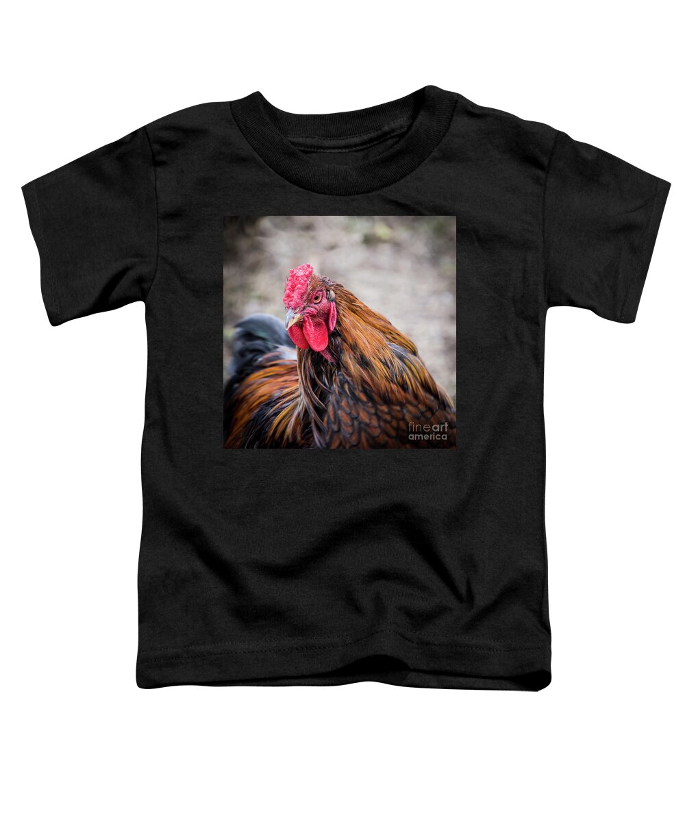 Rooster Toddler T-Shirt featuring the photograph Rooster by Cheryl McClure