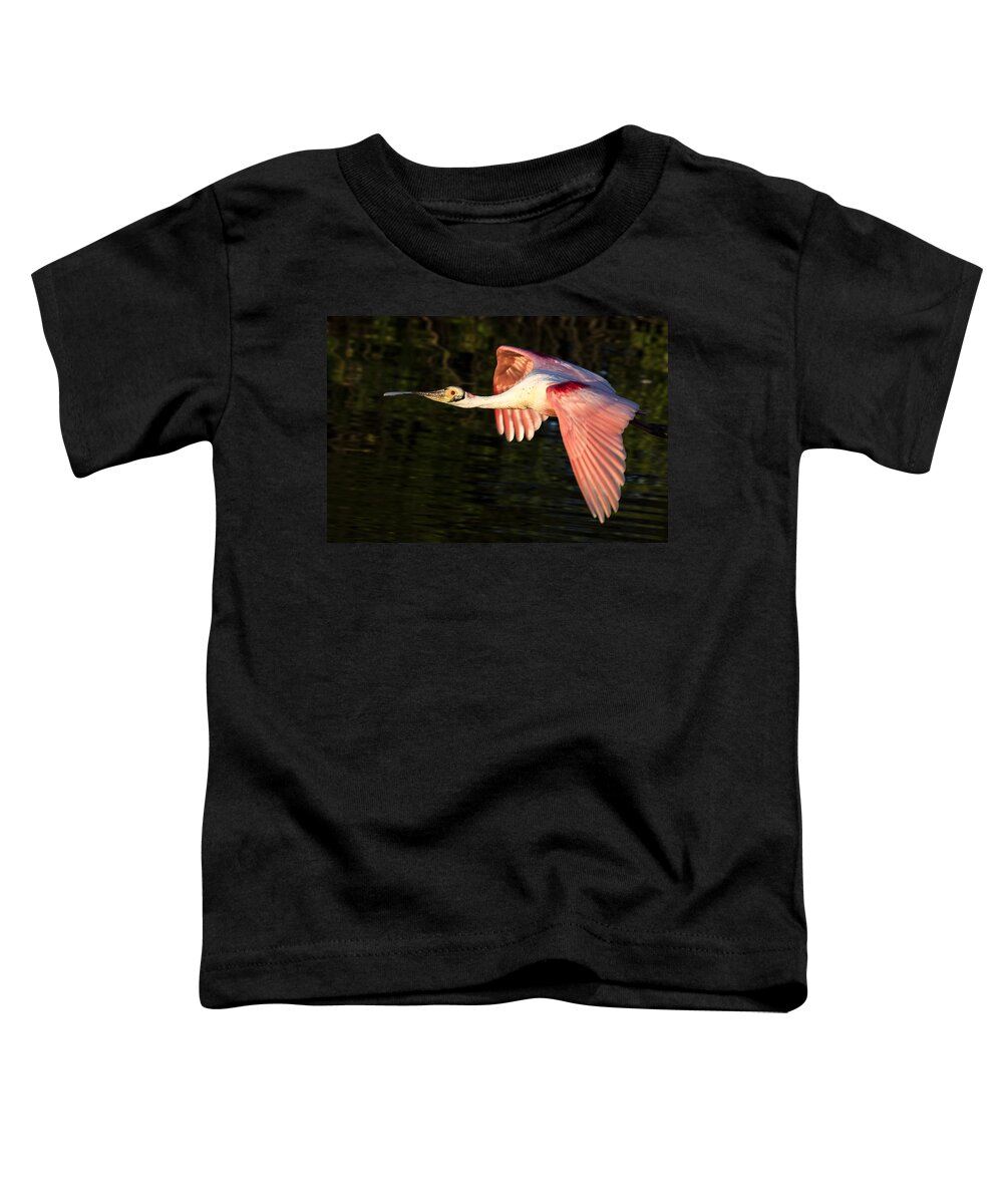 Roseate Toddler T-Shirt featuring the photograph Roseate Spoonbill Flight by Jim Miller