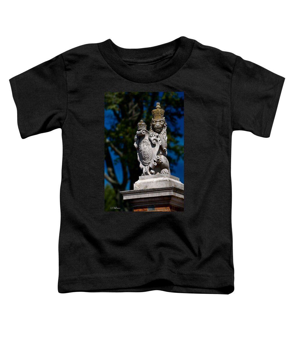 Lion Toddler T-Shirt featuring the photograph Royal Lion by Christopher Holmes