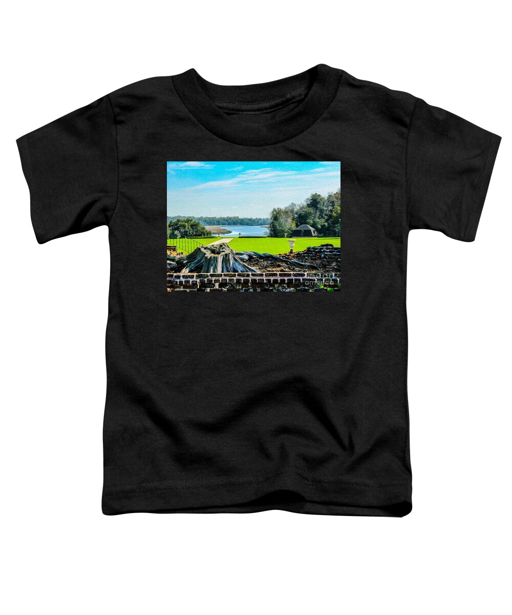Nature Toddler T-Shirt featuring the photograph Ruins and Beauty by DB Hayes