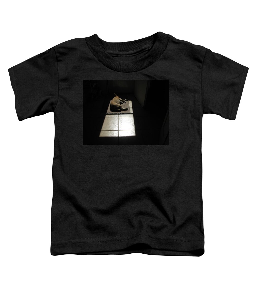 Dog Napping Toddler T-Shirt featuring the photograph Sara Soaking Up Sunshine by Rosanne Licciardi