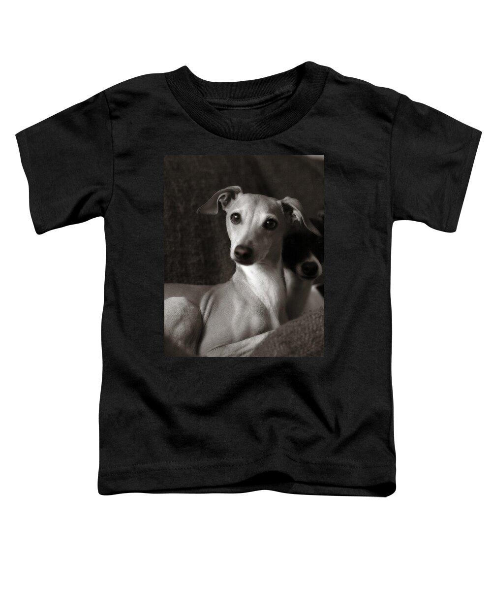 Adopt Toddler T-Shirt featuring the photograph Say What Italian Greyhound by Angela Rath