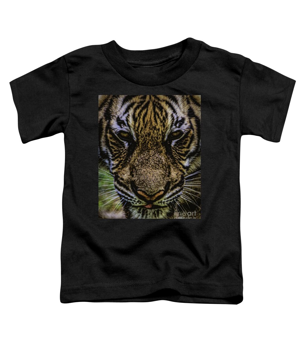 Big Cats Toddler T-Shirt featuring the photograph Scent in the Air by Ken Frischkorn