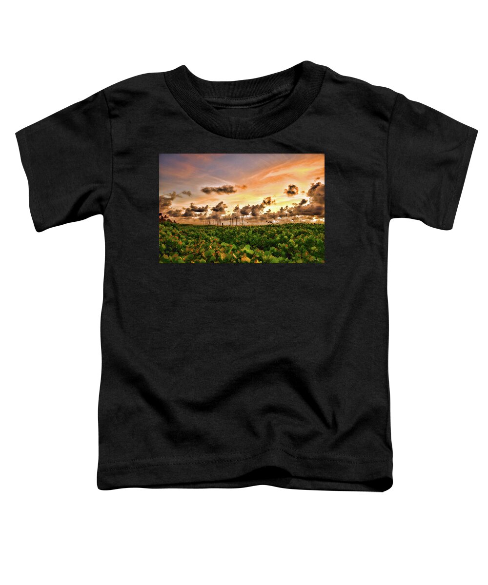 Delray Toddler T-Shirt featuring the photograph Seagrapes At Sunrise Hdr by Ken Figurski