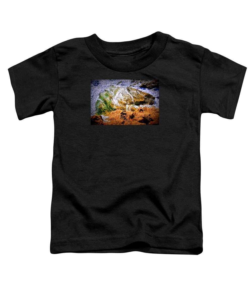 Florida Toddler T-Shirt featuring the photograph Seaside by Bill Howard