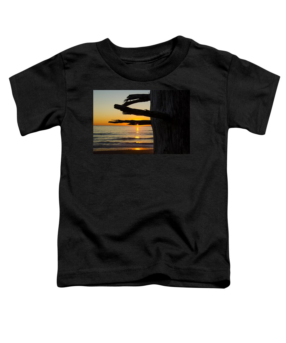 Branch Toddler T-Shirt featuring the photograph Seaside Tree Branch Sunset by Pelo Blanco Photo