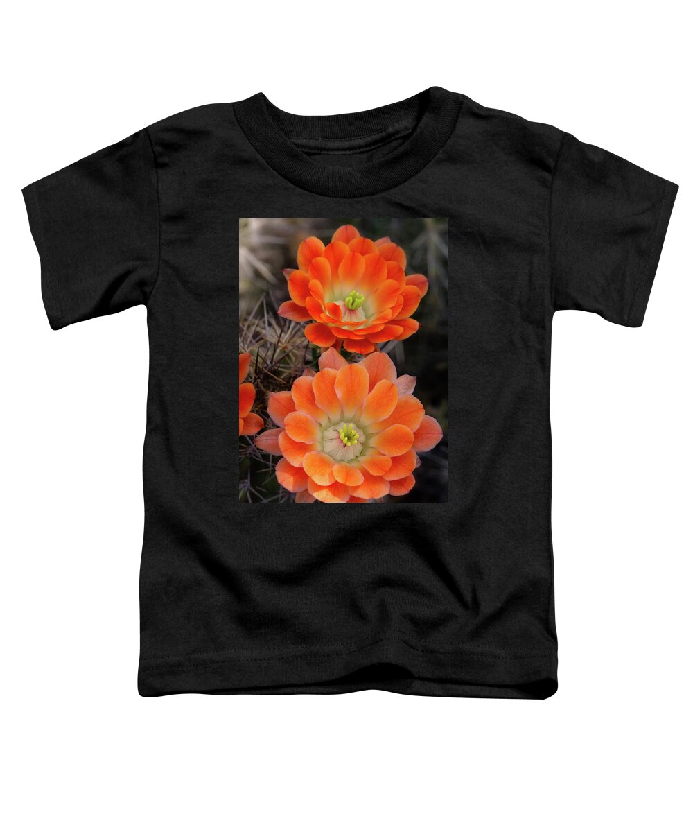 Claret Cup Cactus Toddler T-Shirt featuring the photograph Shades of Claret Cups by Saija Lehtonen
