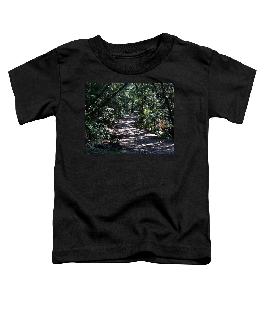 Mount Tamalpais Toddler T-Shirt featuring the photograph Shady Road on Mt Tamalpais by Ben Upham III